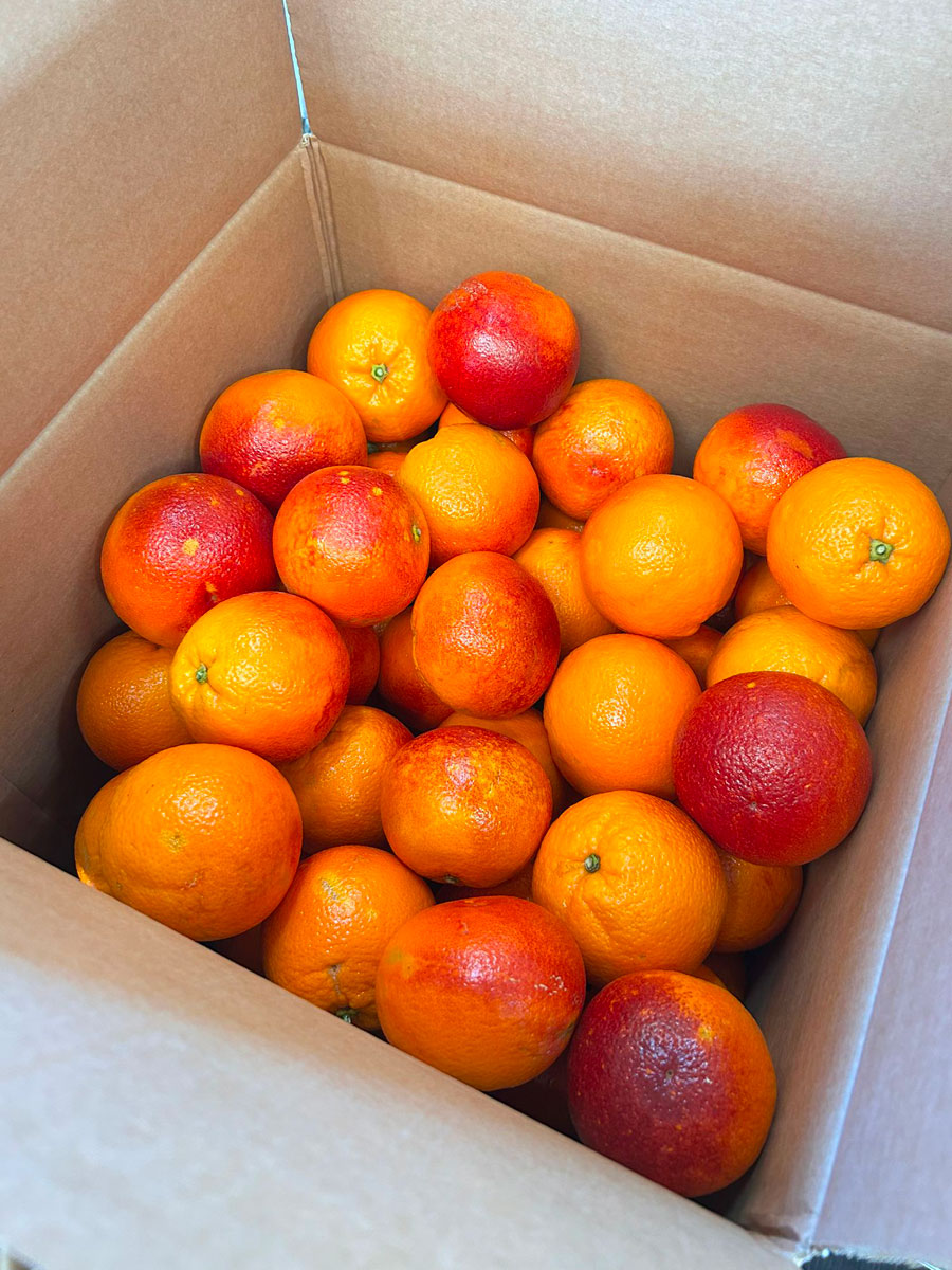 Arance Rosse di Sicilia (buccia e polpa rossa) - immagine 5