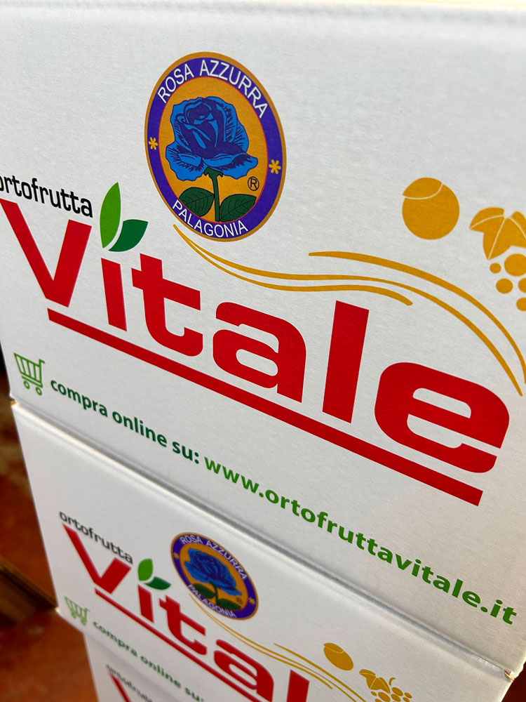 Arance Rosse di Sicilia (buccia e polpa rossa) - immagine 7